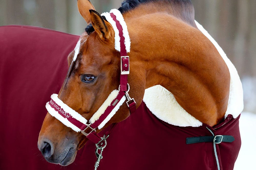 Новое поступление Equestrian Stockholm.