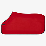 Попона CT Logo